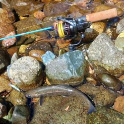 鱒レンジャーを持ってイワナの谷へ